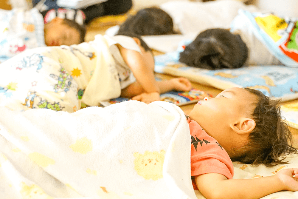 びすけっとの1日